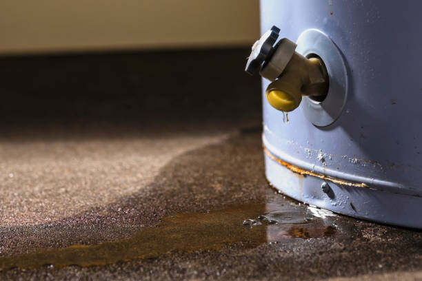 Best Water damage restoration near me  in Pleasant Grove, UT