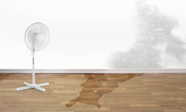 Best Flooded house restoration  in Pleasant Grove, UT