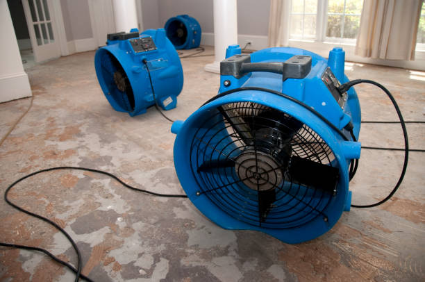 Best Carpet water damage restoration  in Pleasant Grove, UT