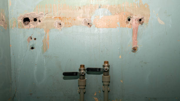  Pleasant Grove, UT Water damage restoration Pros
