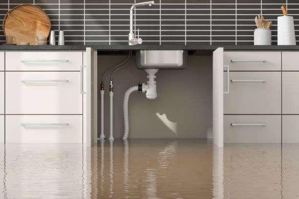 Best Water damage restoration near me  in Pleasant Grove, UT