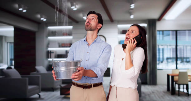 Best Water damage cleanup near me  in Pleasant Grove, UT