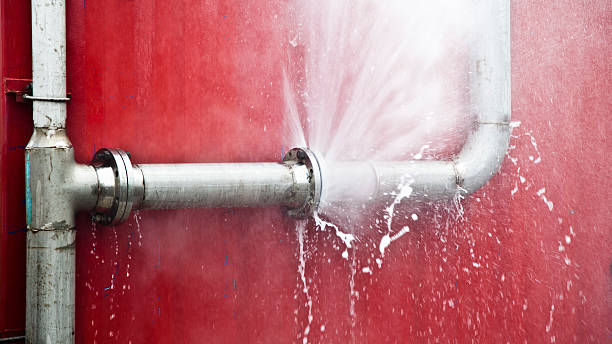 Best Commercial water damage restoration  in Pleasant Grove, UT